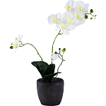 Декоративный искусственное растение Angel Orchid варинант исполнения - 1 | Loft Concept в Костроме