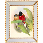 Постер с изображением птиц и цветов в зеркальной раме Blooming Birds Poster варинант исполнения - 6 | Loft Concept в Костроме