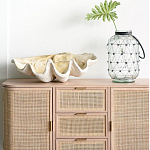 Блюдо декоративное в виде ракушки Seashell варинант исполнения - 1 | Loft Concept в Костроме