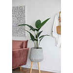 Декоративный искусственное растение Decor Stile  варинант исполнения - 6 | Loft Concept в Костроме