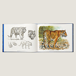 Лимитированная подарочная книга HERMES Fierce and Fragile book, English version варинант исполнения - 2 | Loft Concept в Костроме