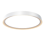 Потолочный светильник Incognito 2700-4000К 46Вт варинант исполнения - 1 | Loft Concept в Костроме