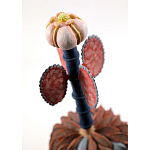 Статуэтка тропический фрукт Pandora Tropical Fruit Orange Brown Pink Flower варинант исполнения - 1 | Loft Concept в Костроме