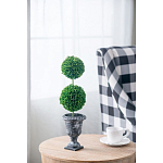 Декоративный искусственное растение Double boxwood варинант исполнения - 5 | Loft Concept в Костроме