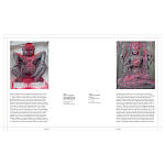 Книга Tantra: Enlightenment to Revolution варинант исполнения - 4 | Loft Concept в Костроме