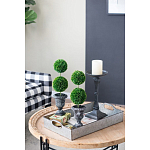 Декоративный искусственное растение Double boxwood варинант исполнения - 8 | Loft Concept в Костроме