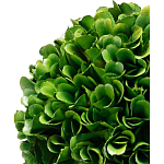 Декоративный искусственное растение Single boxwood варинант исполнения - 2 | Loft Concept в Костроме