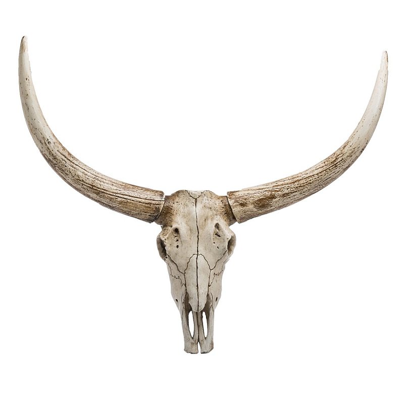 Череп быка Bull Skull Бежево-серый Череп быка Bull Skull Бежево-серый в Костроме | Loft Concept