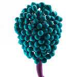 Статуэтка для интерьера фрукт Pandora Tropical Fruit 22 варинант исполнения - 2 | Loft Concept в Костроме