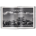 Книга Beusker. Look into my Eyes варинант исполнения - 2 | Loft Concept в Костроме