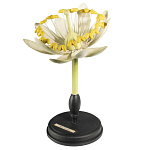 Статуэтка Tilia варинант исполнения - 3 | Loft Concept в Костроме