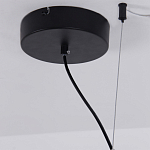 Люстра подвесная светодиодная черный металл Ring Horizontal варинант исполнения - 13 | Loft Concept в Костроме