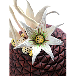Статуэтка тропический фрукт Pandora Tropical Fruit Brown Red Creamy Flowers варинант исполнения - 3 | Loft Concept в Костроме
