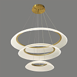 Люстра подвесная с 3-мя кольцевыми светодиодными лампами Catcher варинант исполнения - 1 | Loft Concept в Костроме