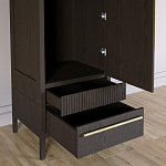 Узкий Шкаф Primo с 2 выдвижными ящиками Темный орех варинант исполнения - 5 | Loft Concept в Костроме