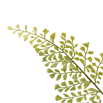 Декоративный искусственное растение Dried flower варинант исполнения - 3 | Loft Concept в Костроме