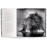 Книга Beusker. Look into my Eyes варинант исполнения - 3 | Loft Concept в Костроме