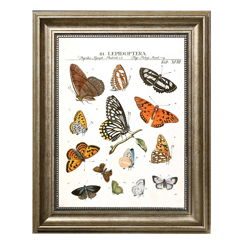 Постер Little Butterflies Постер Little Butterflies в Костроме | Loft Concept