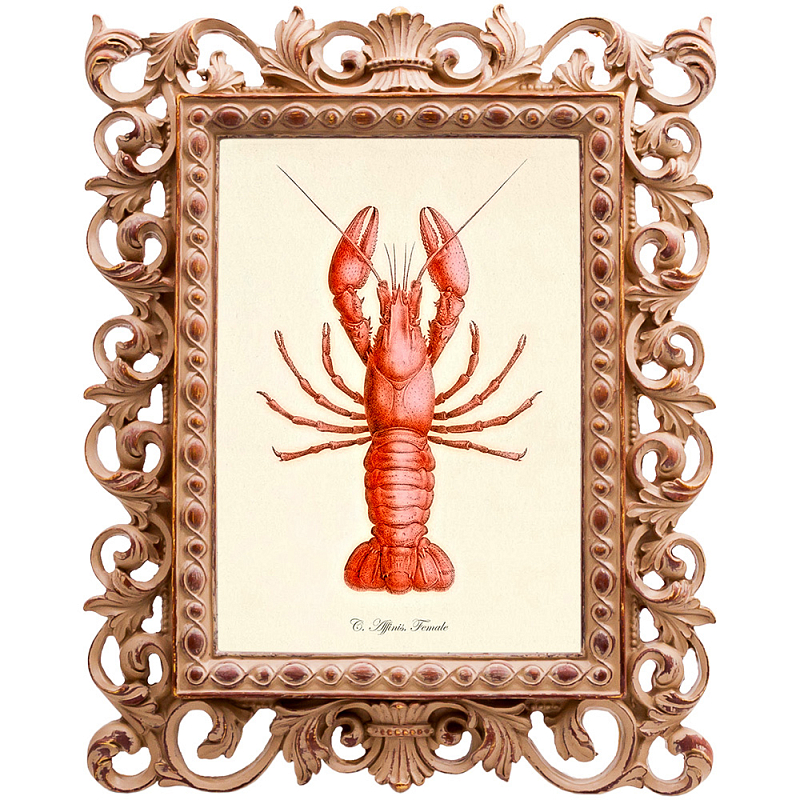 Постер Red Lobster Бежевый Красный Постер Red Lobster Бежевый Красный в Костроме | Loft Concept