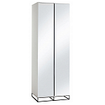 Двухдверный шкаф с зеркальными дверцами Strict Lines варинант исполнения - 5 | Loft Concept в Костроме