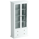 Шкаф-витрина Droletina варинант исполнения - 1 | Loft Concept в Костроме