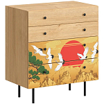 Комод с принтом на ящиках Elise Chest of Drawers варинант исполнения - 4 | Loft Concept в Костроме