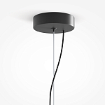 Подвесной светильник Rare grapes варинант исполнения - 4 | Loft Concept в Костроме