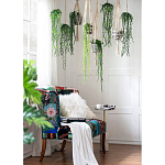 Диван Mesotrope варинант исполнения - 7 | Loft Concept в Костроме