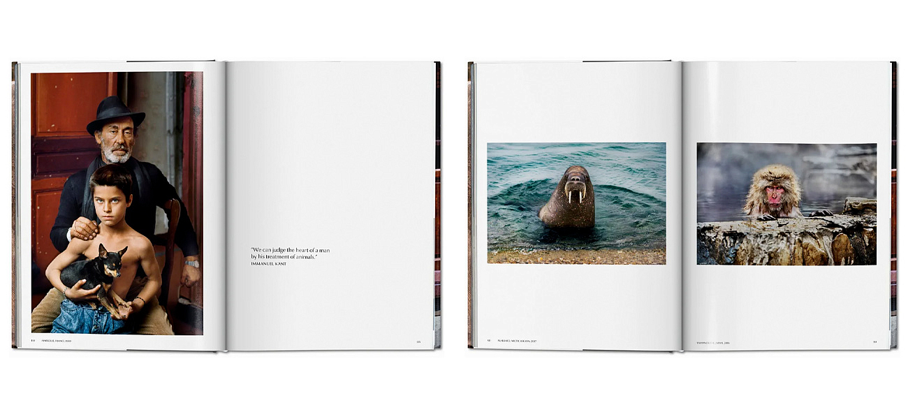 Steve McCurry. Animals Steve McCurry. Animals - Loft-Concept в Костроме