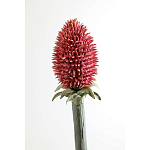 Статуэтка тропический фрукт Pandora Tropical Fruit Orange Red Round варинант исполнения - 3 | Loft Concept в Костроме