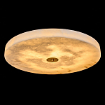 Люстра потолочная круглая минималистичная Perfection of Geometry варинант исполнения - 1 | Loft Concept в Костроме