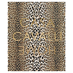 Редкое коллекционное издание Casa Cavalli Home: Celebrating the Roberto Cavalli Lifestyle Леопард варинант исполнения - 1 | Loft Concept в Костроме