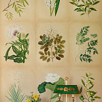 Обои ручная роспись Botanical Studies Linnaeus colourway варинант исполнения - 3 | Loft Concept в Костроме