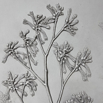 Панно Лесной цветок варинант исполнения - 4 | Loft Concept в Костроме