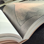 Лимитированное издание Иллюстрации модного дома Book: Dior par Mats Gustafson Vol. II Maria Grazia Chiuri варинант исполнения - 3 | Loft Concept в Костроме