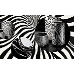 Редкое коллекционное издание Casa Cavalli Home: Celebrating the Roberto Cavalli Lifestyle Зебра варинант исполнения - 4 | Loft Concept в Костроме