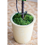 Декоративный искусственное растение Single boxwood варинант исполнения - 6 | Loft Concept в Костроме