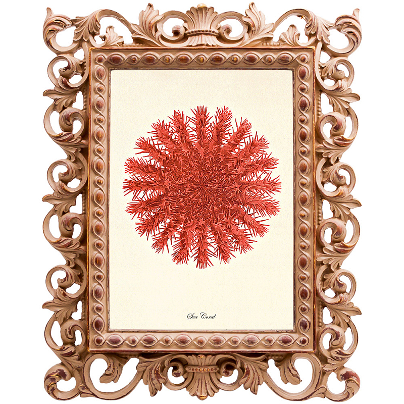 Постер Red Sea Urchin Бежевый Красный Постер Red Sea Urchin Бежевый Красный в Костроме | Loft Concept
