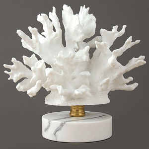Белый коралл Staghorn на подставке