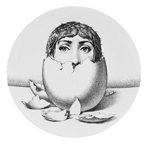 Декоративная тарелка Fornasetti 30.CR.BW.R01-258