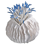 Статуэтка тропический фрукт Tropical Fruit White Blue варинант исполнения - 2 | Loft Concept в Костроме