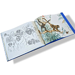 Лимитированная подарочная книга HERMES Fierce and Fragile book, English version варинант исполнения - 6 | Loft Concept в Костроме