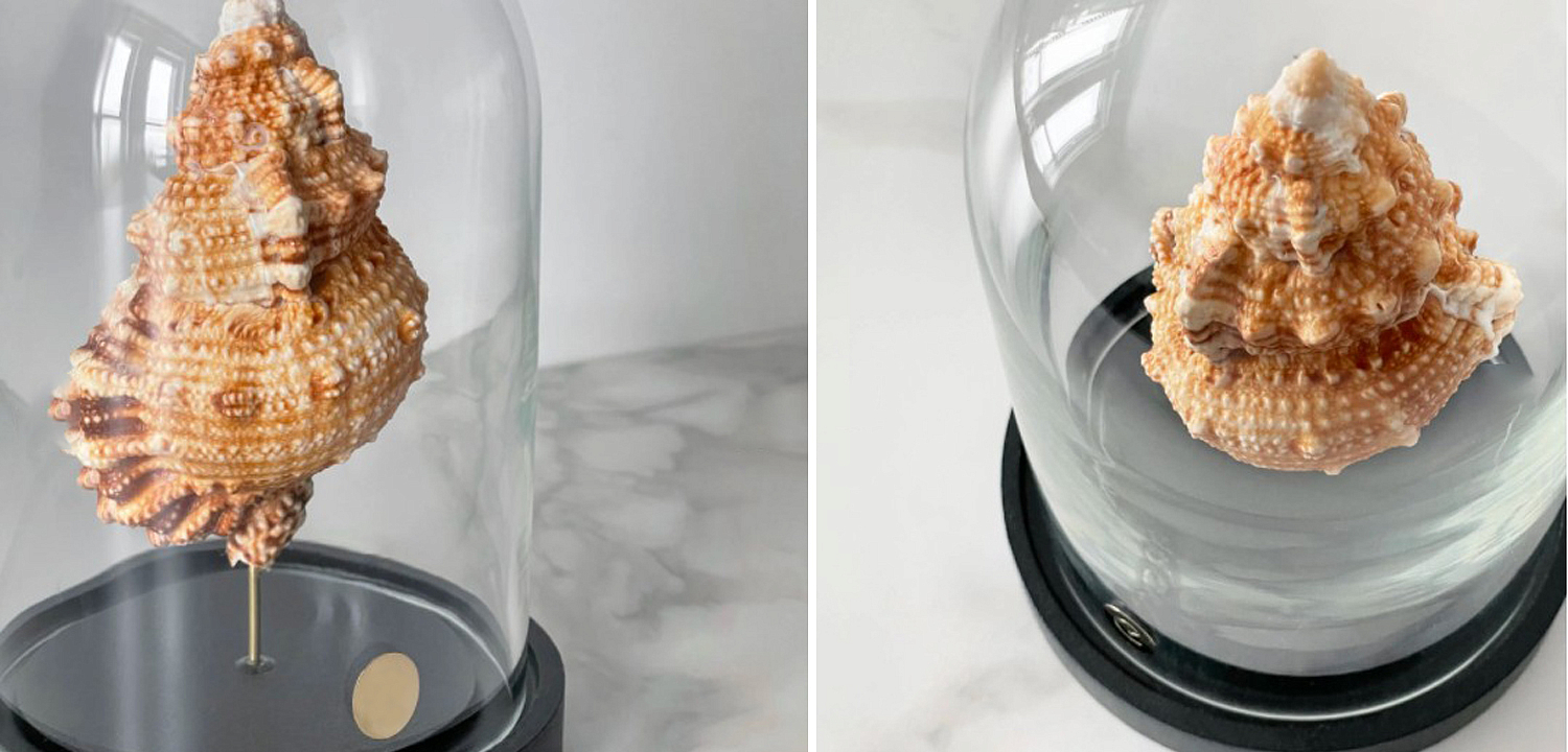 Статуэтка Bursa Rubeta Glass Cloche Статуэтка Bursa Rubeta Glass Cloche - Loft-Concept в Костроме