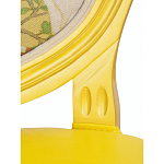 Стул French Juicy yellow варинант исполнения - 6 | Loft Concept в Костроме