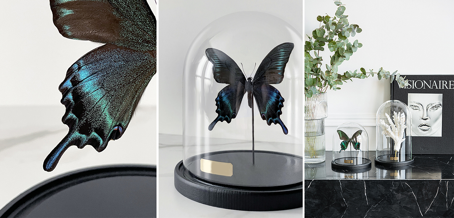 Статуэтка Butterfly Sailboat Maaka Glass Cloche Статуэтка Butterfly Sailboat Maaka Glass Cloche - Loft-Concept в Костроме