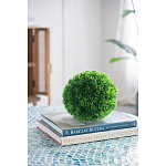 Декоративный искусственное растение Round boxwood варинант исполнения - 6 | Loft Concept в Костроме