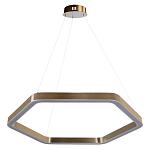 Люстра подвесная светодиодная в форме шестиугольника Диаметр 80 см Hexagon Horizontal варинант исполнения - 1 | Loft Concept в Костроме