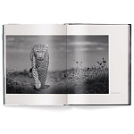 Книга Beusker. Look into my Eyes варинант исполнения - 1 | Loft Concept в Костроме