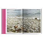 Книга Gisele Bundchen варинант исполнения - 9 | Loft Concept в Костроме