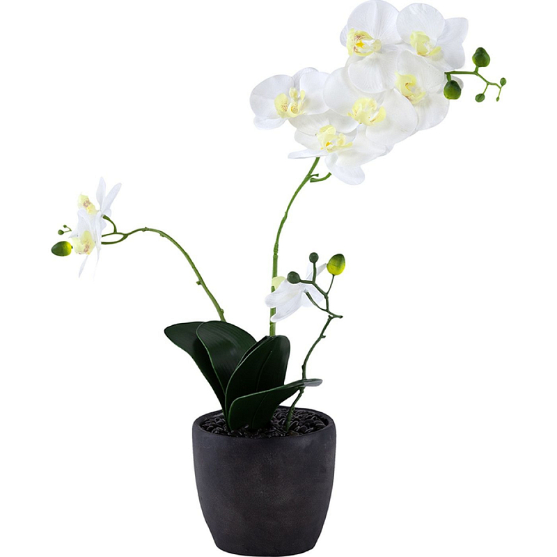 Декоративный искусственное растение Angel Orchid Зеленый Белый Бежевый Декоративный искусственное растение Angel Orchid Зеленый Белый Бежевый в Костроме | Loft Concept